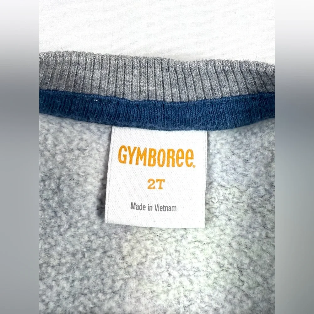 GYMBOREE Boys Dinosaur Sweatshirt 2T Fleece Pullover Playful Prehistoric Print‎